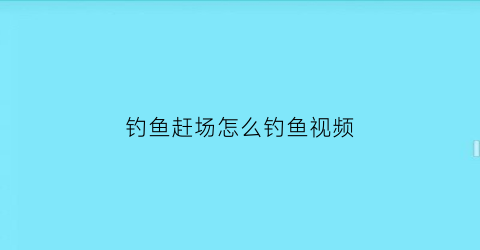 “钓鱼赶场怎么钓鱼视频(钓鱼赶海视频)