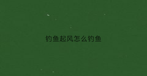 钓鱼起风怎么钓鱼(起风应该怎么钓鱼)