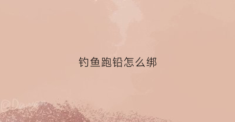 钓鱼跑铅怎么绑(如何绑跑铅的钩)