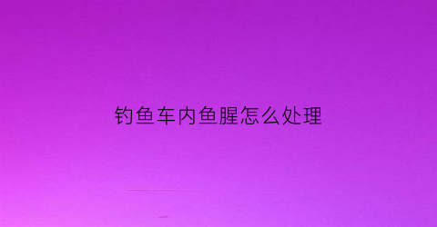 钓鱼车内鱼腥怎么处理(车里鱼饵味道怎么去除)