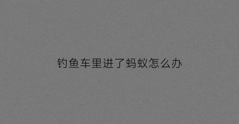 钓鱼车里进了蚂蚁怎么办(钓鱼车里有腥味如何去除)