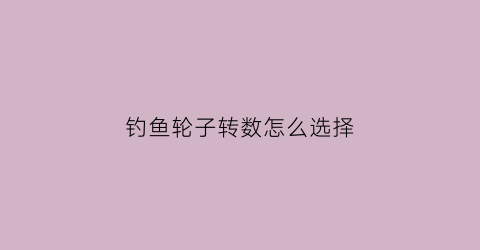 钓鱼轮子转数怎么选择