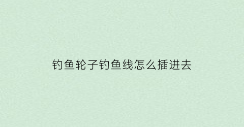 钓鱼轮子钓鱼线怎么插进去(钓鱼线轮子怎么绑线)