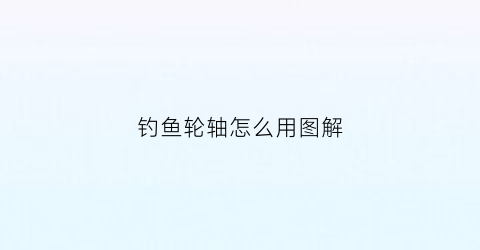 钓鱼轮轴怎么用图解(钓鱼轮的结构)