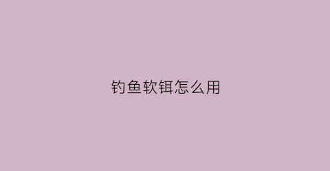 钓鱼软铒怎么用(软饵怎么钓)