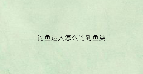 钓鱼达人怎么钓到鱼类(钓鱼达人2020怎么玩)