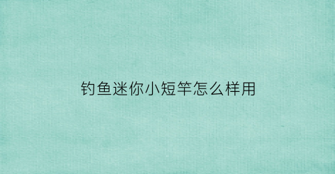 钓鱼迷你小短竿怎么样用(迷你鱼竿钓小鱼视频)