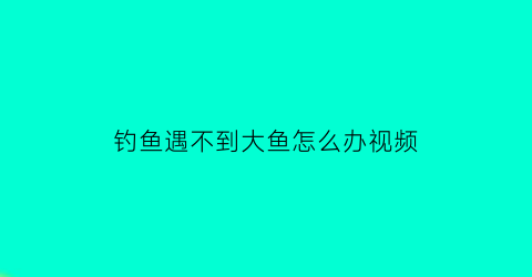 钓鱼遇不到大鱼怎么办视频(看到鱼钓不到)