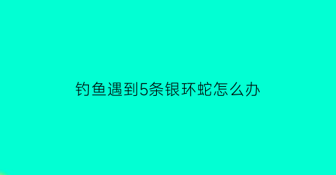 钓鱼遇到5条银环蛇怎么办