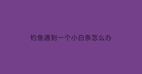 钓鱼遇到一个小白条怎么办(老是钓到白条)