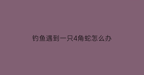 钓鱼遇到一只4角蛇怎么办