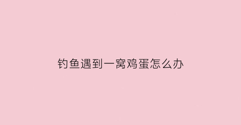 钓鱼遇到一窝鸡蛋怎么办(用鸡蛋打窝诱鱼)