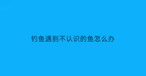 “钓鱼遇到不认识的鱼怎么办(不认识的鱼怎么查)