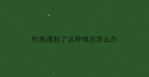 “钓鱼遇到了这种情况怎么办(遇到钓鱼的怎么办)