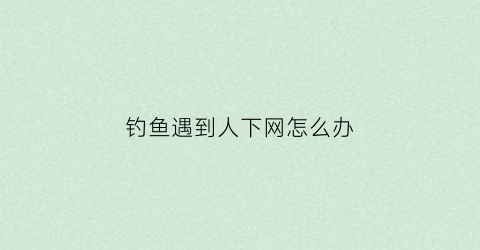 钓鱼遇到人下网怎么办(钓鱼的人钓到鱼之后会做什么)