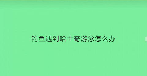 钓鱼遇到哈士奇游泳怎么办