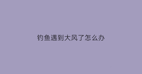 钓鱼遇到大风了怎么办(钓鱼遇到风大怎么确认鱼口)