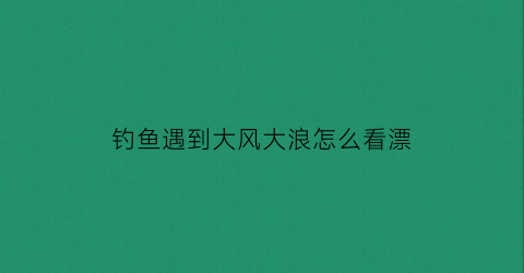 钓鱼遇到大风大浪怎么看漂(钓鱼遇到大风大浪怎么看漂相)