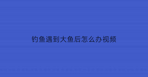 钓鱼遇到大鱼后怎么办视频(钓到大鱼该怎么办)