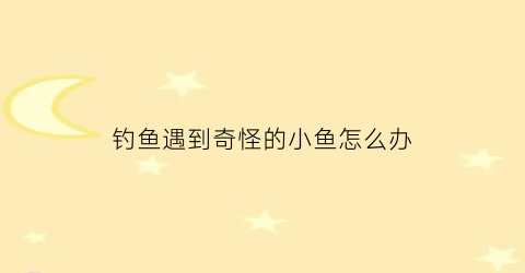 钓鱼遇到奇怪的小鱼怎么办(钓鱼钓到奇葩东西)