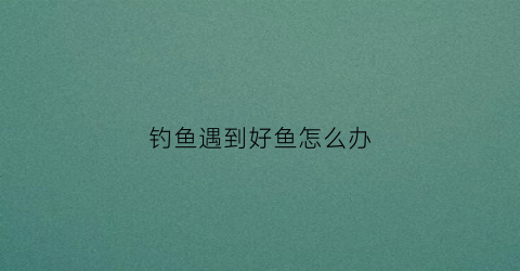 钓鱼遇到好鱼怎么办(钓鱼遇到好鱼怎么办视频)