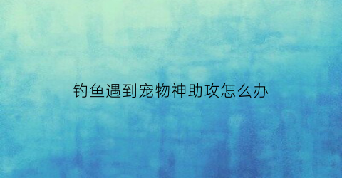 钓鱼遇到宠物神助攻怎么办(钓鱼钓到神奇东西)