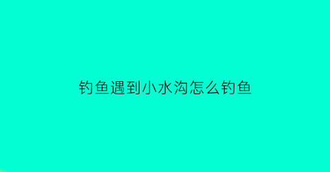 “钓鱼遇到小水沟怎么钓鱼(小水沟钓鱼钓位选择)