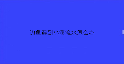 钓鱼遇到小溪流水怎么办(如何钓小溪里的鱼)
