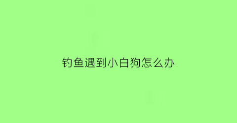 钓鱼遇到小白狗怎么办(钓鱼钓到白鱼)