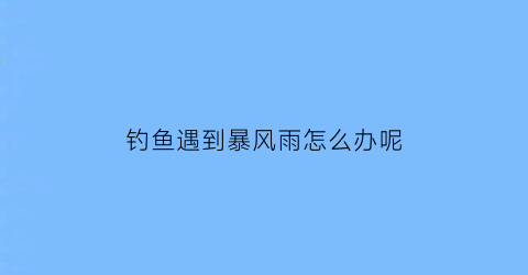 钓鱼遇到暴风雨怎么办呢(钓鱼遇到雷雨怎么办)