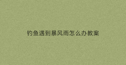 钓鱼遇到暴风雨怎么办教案(钓鱼遇到雷雨怎么办)