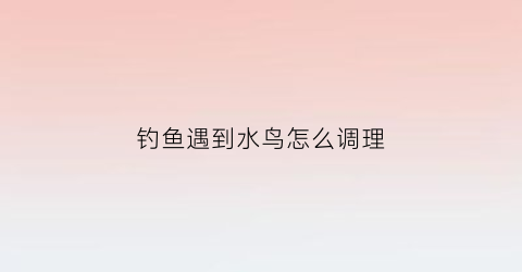 钓鱼遇到水鸟怎么调理