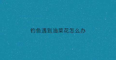 钓鱼遇到油菜花怎么办(钓鱼遇到油菜花怎么办视频)