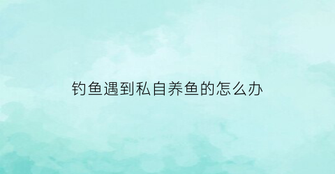 钓鱼遇到私自养鱼的怎么办(私人养鱼禁止钓鱼标语)
