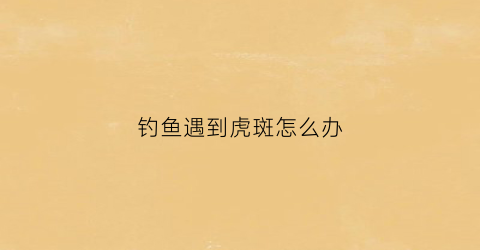 钓鱼遇到虎斑怎么办(钓鱼遇到虎斑怎么办呢)