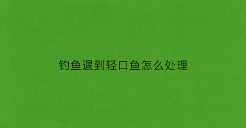 钓鱼遇到轻口鱼怎么处理(钓鱼轻口是什么意思)