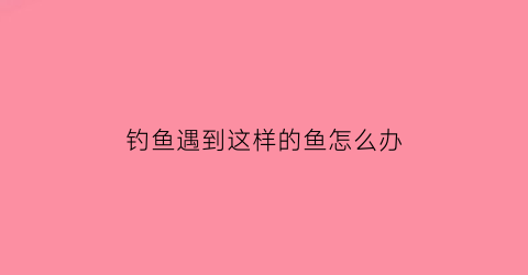 钓鱼遇到这样的鱼怎么办(钓鱼遇到怪事)