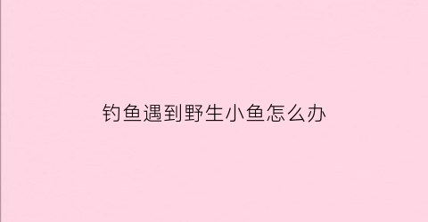 “钓鱼遇到野生小鱼怎么办(钓鱼遇到野生小鱼怎么办呢)