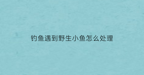 “钓鱼遇到野生小鱼怎么处理(野生的鱼怎么钓)