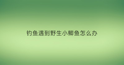 “钓鱼遇到野生小鲫鱼怎么办(钓野生小鲫鱼用什么鱼饵最好)