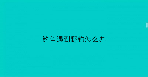 “钓鱼遇到野钓怎么办(钓鱼遇到野钓怎么办呢)