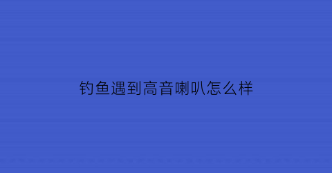 “钓鱼遇到高音喇叭怎么样(钓鱼声波)