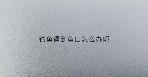 钓鱼遇到鱼口怎么办呢(钓鱼鱼口轻解决办法)