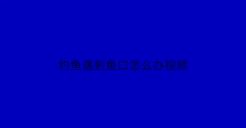 钓鱼遇到鱼口怎么办视频(钓鱼遇到鱼口怎么办视频讲解)
