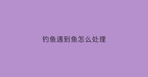 钓鱼遇到鱼怎么处理