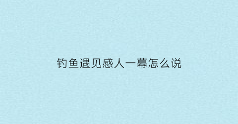 “钓鱼遇见感人一幕怎么说(钓鱼遇见感人一幕怎么说话)