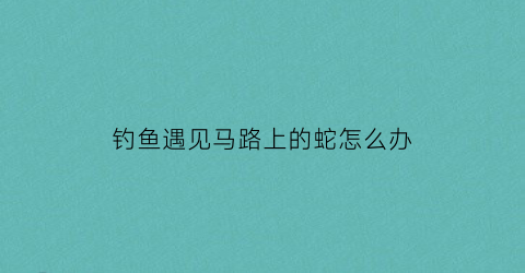 钓鱼遇见马路上的蛇怎么办(钓鱼遇到蛇怎么办)