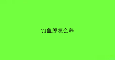 钓鱼郎怎么养(钓鱼郎当什么意思)
