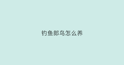 钓鱼郎鸟怎么养(钓鱼郎有什么用途)