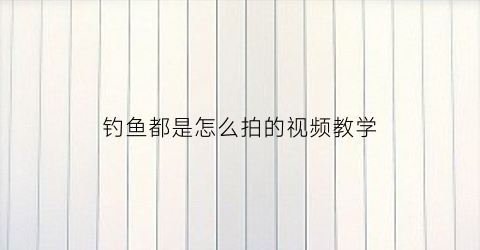 钓鱼都是怎么拍的视频教学
